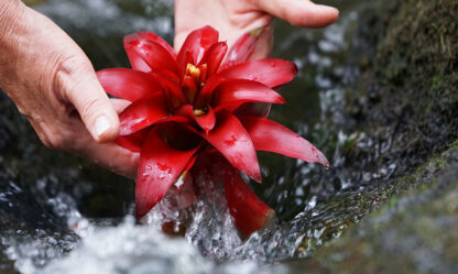 Elke Hanhus-Kurras, Business Trainerin, Psychologische Beraterin, Systemischer Coach, Lebensbalance