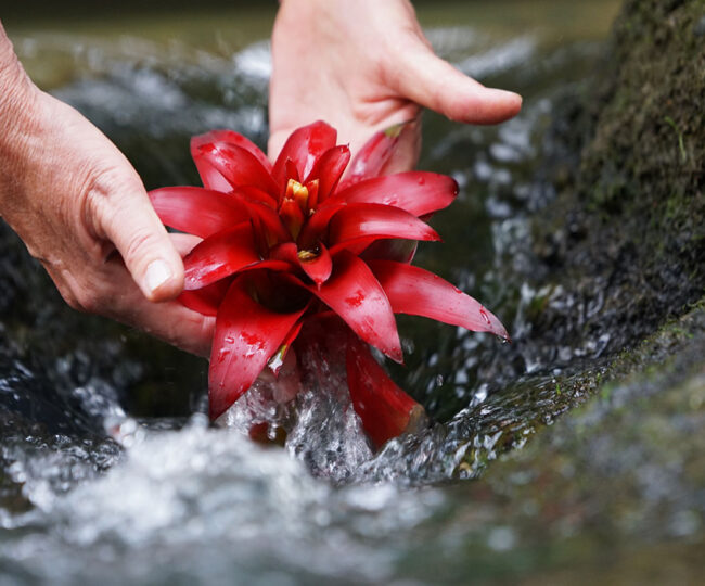 Elke Hanhus-Kurras, Business Trainerin, Psychologische Beraterin, Systemischer Coach, Lebensbalance Elke Hanhus-Kurras, Business Trainerin, Psychologische Beraterin, Systemischer Coach, Lebensbalance