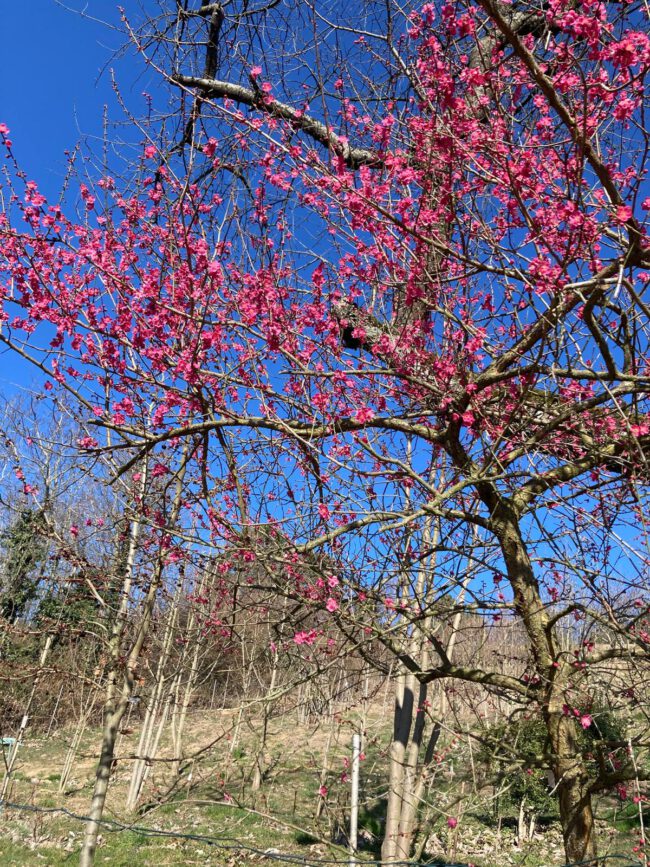 Elke Hanhus-Kurras, Business Trainerin, Psychologische Beraterin, Systemischer Coach, Lebensbalance Elke Hanhus-Kurras, Business Trainerin, Psychologische Beraterin, Systemischer Coach, Lebensbalance
